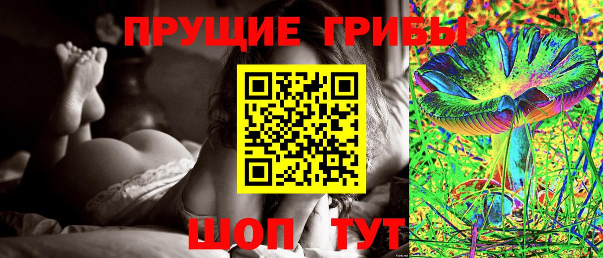 Галлюциногенные грибы мицелий Новозыбков
