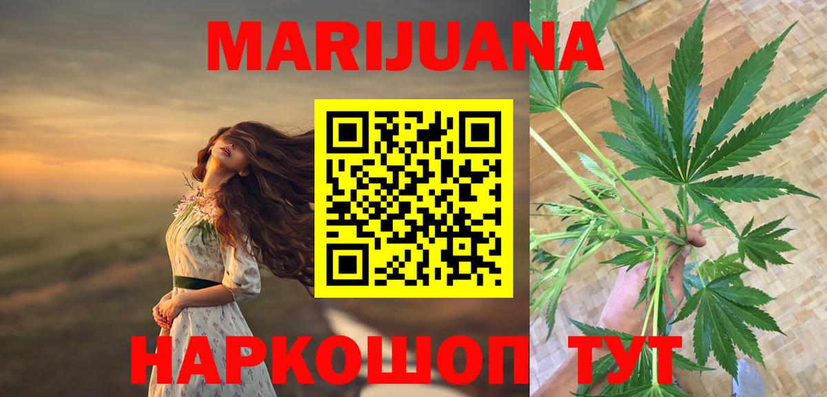 Каннабис OG Kush Новозыбков
