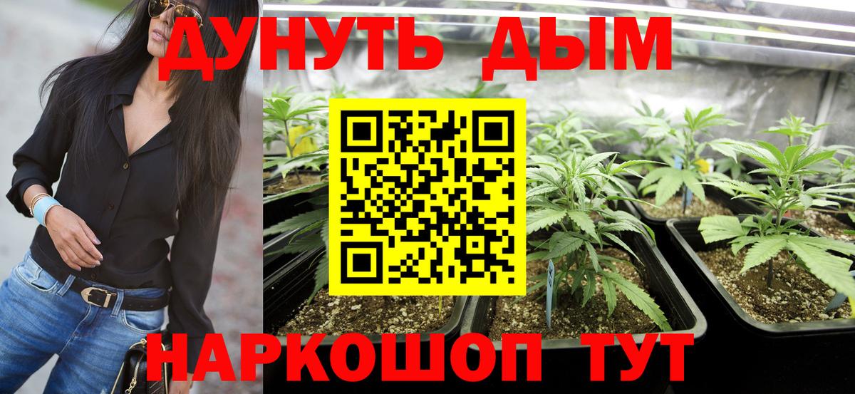 Марихуана индика  Каннабис SATIVA & INDICA  Новозыбков  МАРИХУАНА AK-47  Вход с VPN 